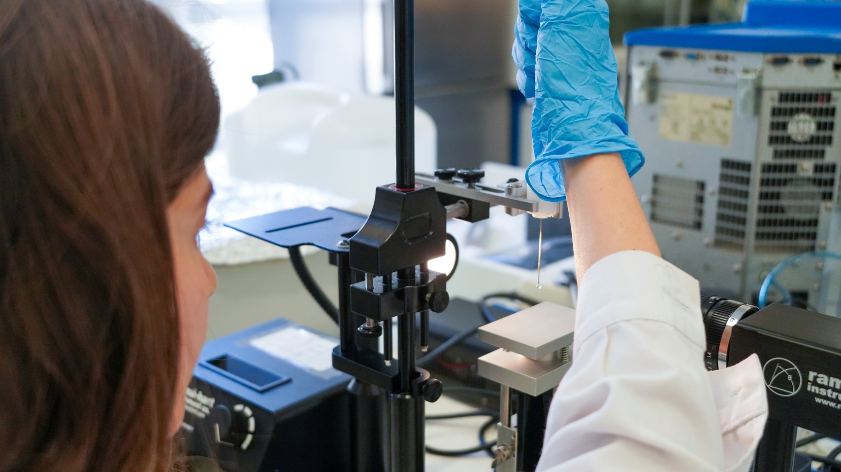 Processes and products engineering