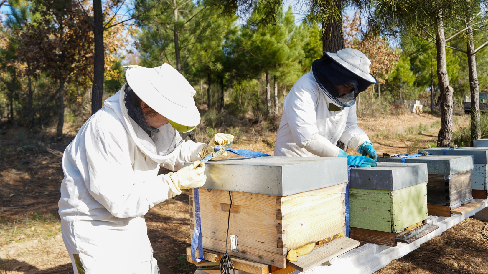 Socio-Ecological Resilience