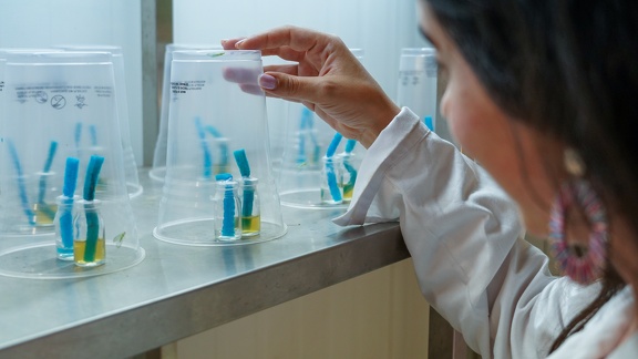 Sustainable Agriculture and Innovative Agro-food Chains