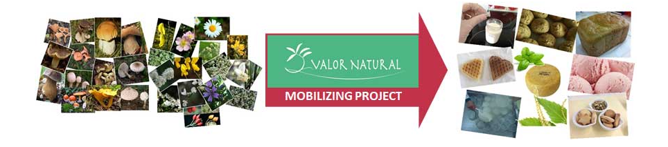 Sustainable processes and products