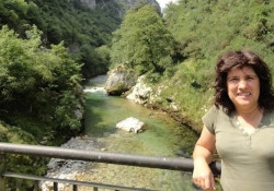 CIMO/IPB/SUSTEC researcher participated in a global study published in the journal
Nature