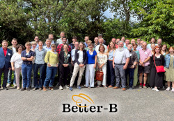 CIMO/IPB and 17 other European partners team up to restore the harmony and balance of honey bees, through implementation of the Horizon project Better-B