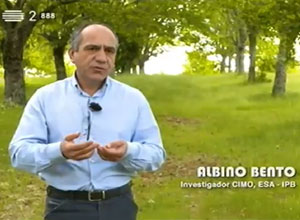 CIMO researchers on national television