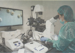 Cancer research joining the Northern science network includes researchers from CIMO-IPB