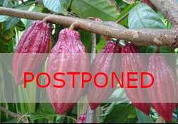 CIMO-IPB opens a call for PhD Scholarships for students from Portuguese-speaking African countries and East Timor in the area of Agricultural Sciences