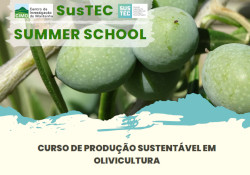 SUSTEC course under the topic “Sustainable Production in Olive Growing"