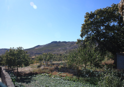 Seminar "Ecosystems services and Carbon Markets" - April 14th at 14h30