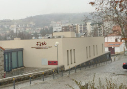 Stanford University 2021 ranking highlights CIMO-IPB scientists