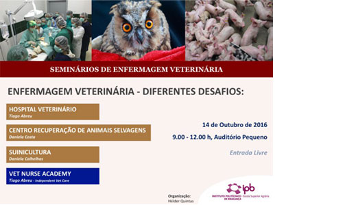 Enfermagem Veterinária - Diferentes Desafios