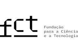 CIMO's results on Call for PhD Research Scholarships – 2024 Edition
