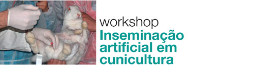 Inseminação Artificial em Cunicultura