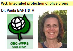 Paula Baptista elected convenor at IOBC-WPRS
