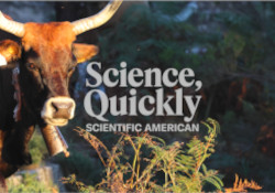 CIMO's project LIFE MARONESA was recently published in the Scientific American Journal