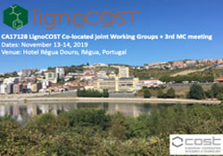 CIMO-IPB will organize next LignoCOST meeting