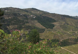 Portuguese Mountain Researh Network meets for first time