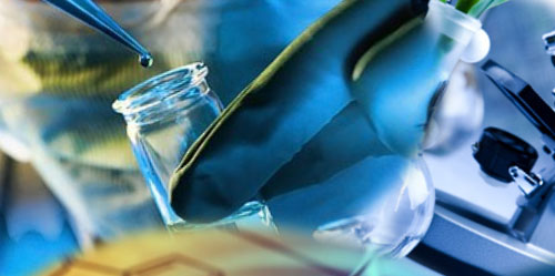 Noite Europeia dos Investigadores