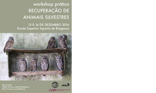 Recuperação de Animais Silvestres