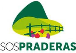 SOS Lameiros Final Conference