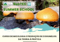 SusTEC SUMMER SCHOOL