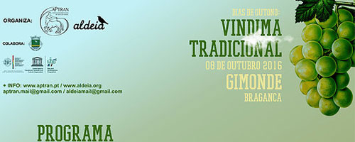 Dias de Outono: Vindima Tradicional