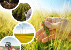 Workshop SUSTAINABILITY AND INNOVATION: (re)inventing the agro-industrial sector