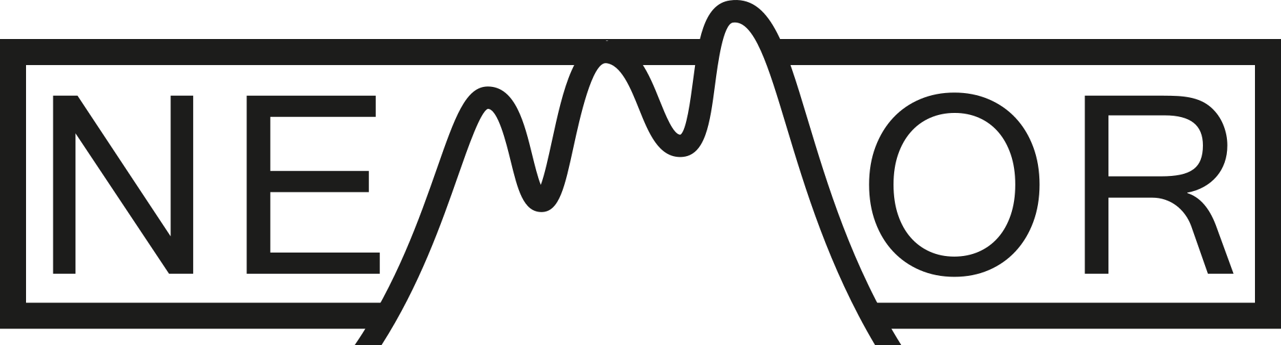  Network for European Mountain Research (NEMOR) 