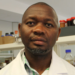 Amândio David Zimba