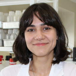 Ana Beatriz de Melo Segatelli