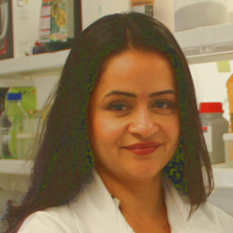 Bruna Penedo de Carvalho Moreira