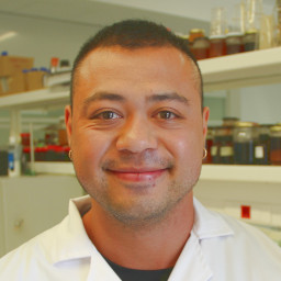 Carlos Seiti Hurtado Shiraishi