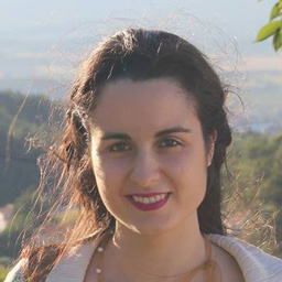 Dora Sofia  Martins Henriques