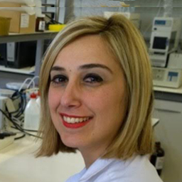 Isabel Cristina Fernandes Rodrigues Ferreira