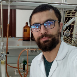 Luís António  Palmeira Fernandes