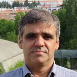 Manuel Ângelo Rosa Rodrigues