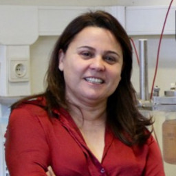 Maria Filomena Filipe Barreiro