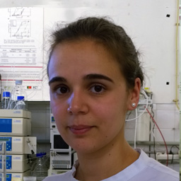 Maria Inês Moreira Figueiredo Dias