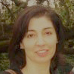 Maria do Sameiro Ferreira Patrício