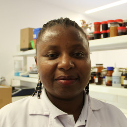 Odete Linda Armando Zefanias