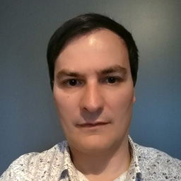 Pedro Miguel Lopes Bastos