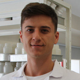 Regis Pacheco Cassino Junior