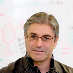 Rolando Carlos Pereira Simões Dias