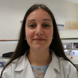 Sandra Isabel Correia Lamas