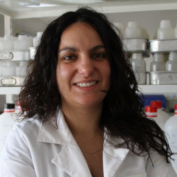 Soraia de Lurdes Fernandes Raimundo