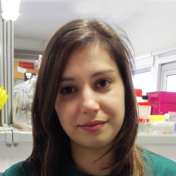 Vanessa Ariana Azevedo Vieira