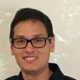 Vinicius Kenzo Okada